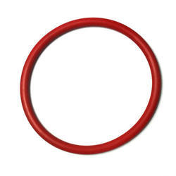 Oil seal and O-ring